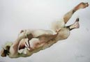 watercolors